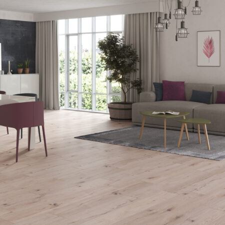 Lorian Oak 53343