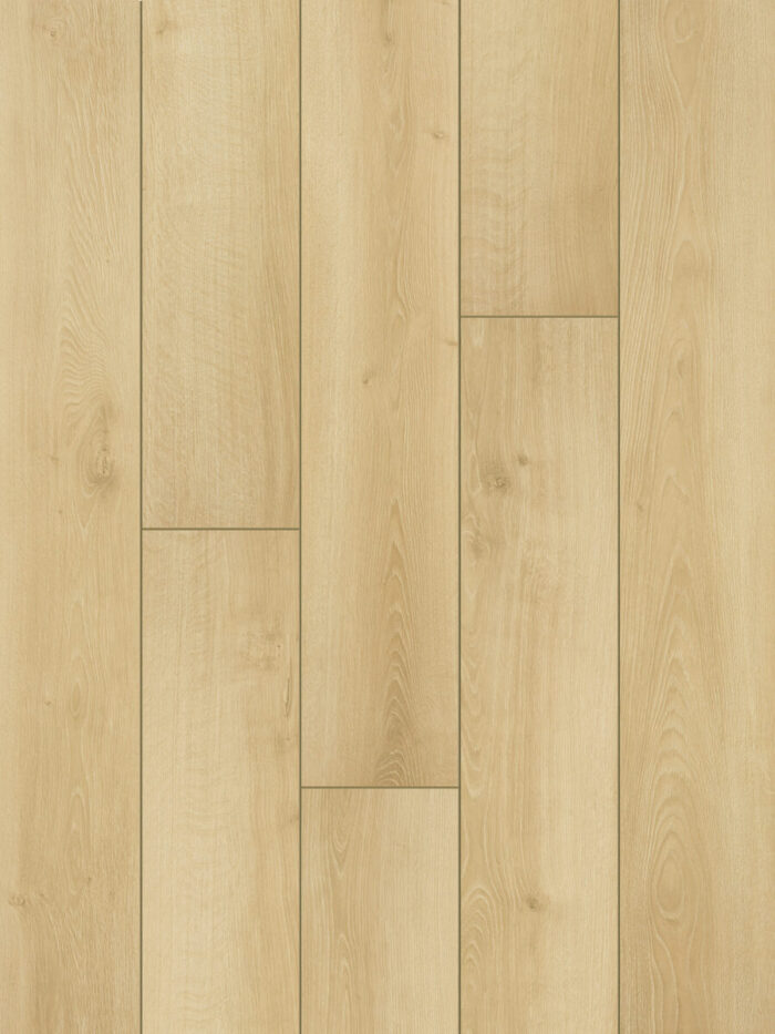 Austin Oak 55234 - Image 2