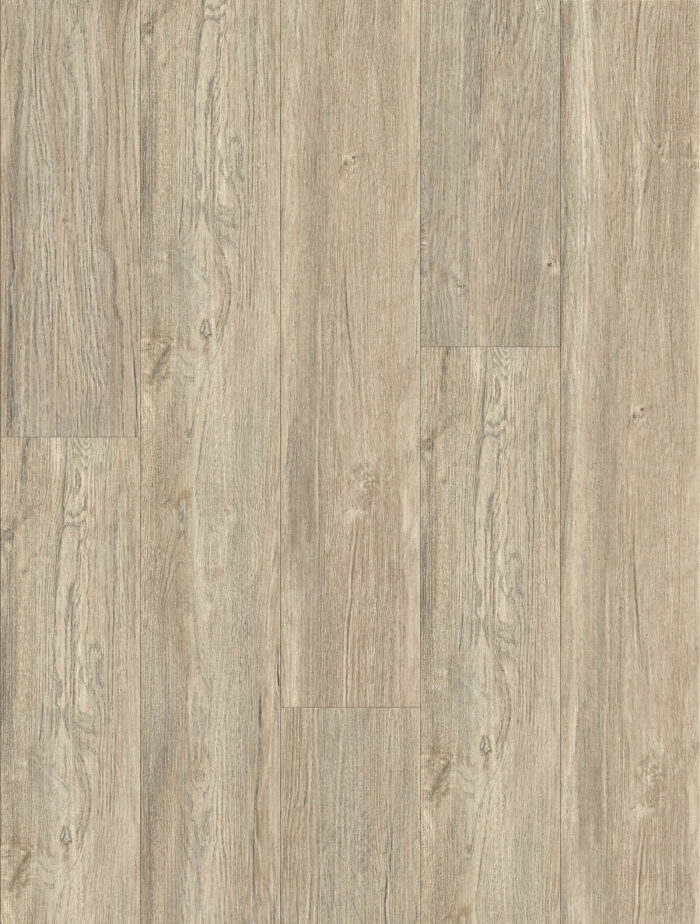 Mountain Ash LF25