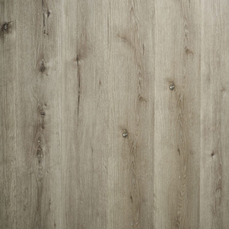 Silver Birch LF47