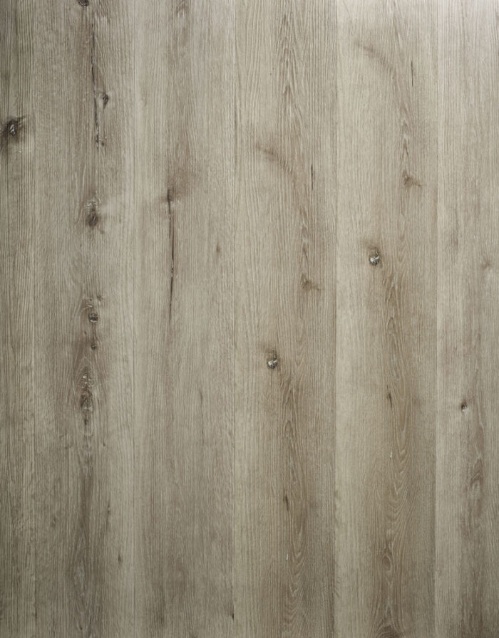 Silver Birch LF47