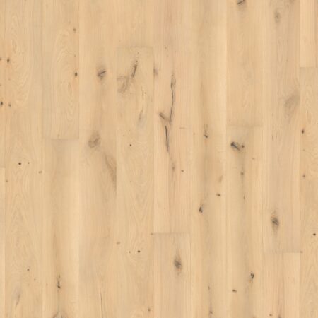 HDHD0003 Gaia