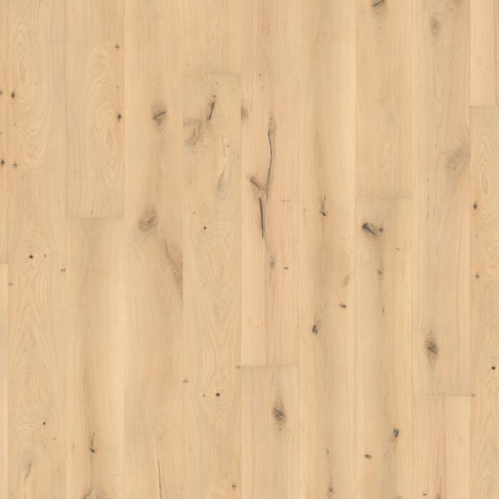 HDHD0003 Gaia